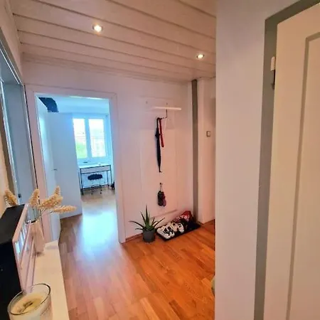 Schoene 2,5 Mit Balkon Und Parkplatz شقة غراتس