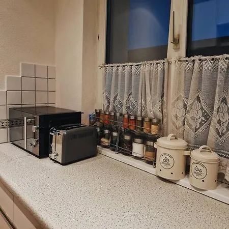 Schoene 2,5 Mit Balkon Und Parkplatz * غراتس